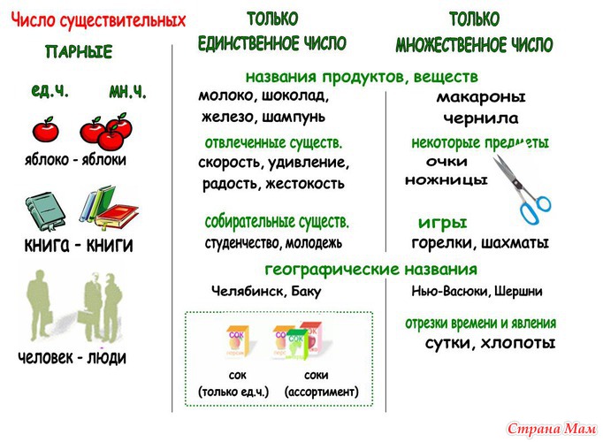 Множественное число единственное число картинки