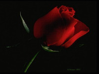 � ������� ������