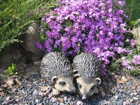 ���� � ������.