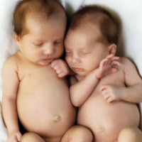 ����������� ��� ��������