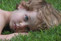 � ���y ��� ������ (����� ����������� ���� ����, ������� �� ���� ��� ��� 6 ���)