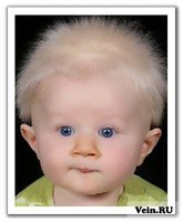 ���� �� ������� ����������