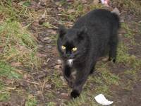 ��� ���������.