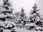 Ты там уснула что ли. Смотреть фото Ты там уснула что ли. Смотреть картинку Ты там уснула что ли. Картинка про Ты там уснула что ли. Фото Ты там уснула что ли