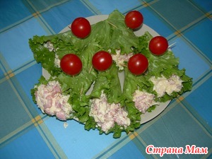 ������� "�����������"