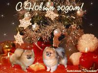 � ����� �����!!!