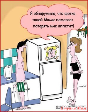 Дневник мужа худеющей жены
