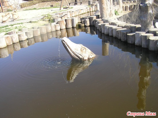 ���� � �������