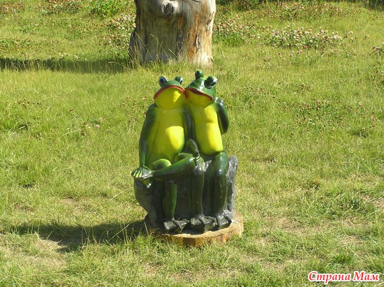 ��� �������