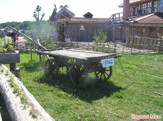 ������ ������