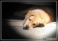 ����� ��� ��� �� � ����� ����� ��������