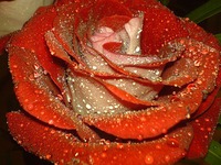 ��� ����� ������?