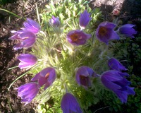 ������"�� ����, ��� � ����� �����"