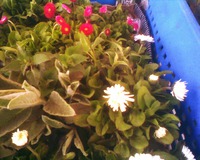 ������ " � ������ � ���"