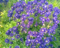 ������������� " � �������"