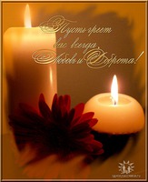 ���� ������ ����� ������