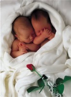 "������-���������"