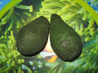 �������� (help)