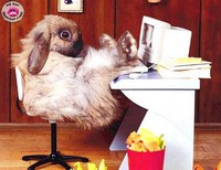 ��� ��������