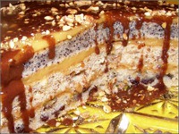 ���� "�����������"