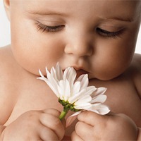 ��� ������� �����