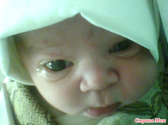 ������ ��� �������. ������.