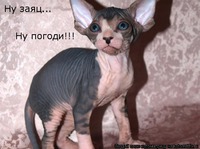 ��, ������!