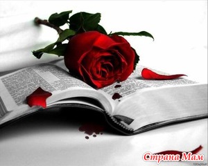 если на одно мгновение бог забыл что я трепещу слушать. Смотреть фото если на одно мгновение бог забыл что я трепещу слушать. Смотреть картинку если на одно мгновение бог забыл что я трепещу слушать. Картинка про если на одно мгновение бог забыл что я трепещу слушать. Фото если на одно мгновение бог забыл что я трепещу слушать