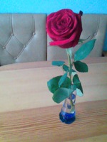 �������� ����� ��������� ����