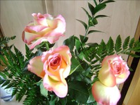 ������ ��� ����������� ��� ��������