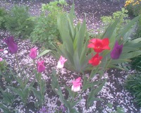 ������ "� ��������� � ���� ������"(�����������)