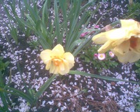 ������"� ��������� � ���� ������"