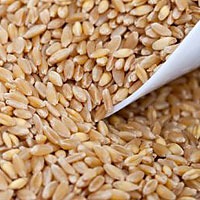 Рецепты при аллергии на пшеницу thumbnail