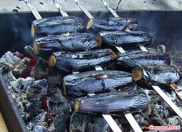 Баклажан на углях. Баклажан для шашлыка. Баклажаны на шампурах на мангале. Кабачки на мангале на решетке. Баклажаны на костре на шампурах.