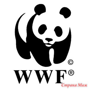 WWF,   