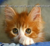 ��� �������� ����?