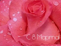 ���� � 8 ������