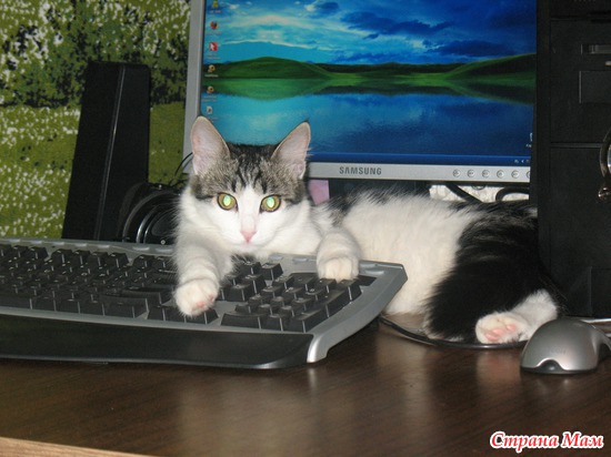 ������� �����