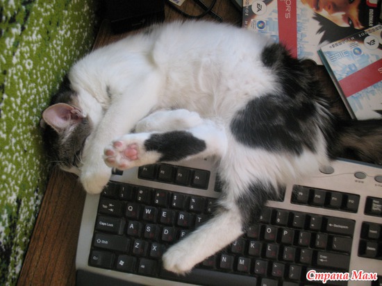 ���� ����