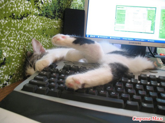 ����� ����