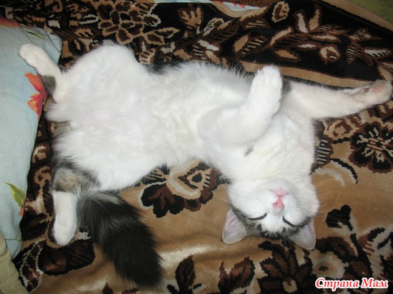 � ����� ����