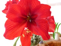 ���������� ���� � ������!!!! � ����������� ����������!!!!