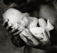 ����, �������, �� �����?