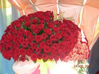 ���� ���������� � ���������� �����!