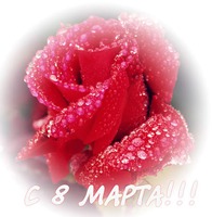 � 8 �����, �������!!!