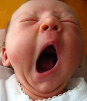 �������-���������   ����� ������