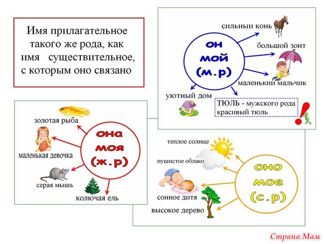 Интеллект карта местоимения