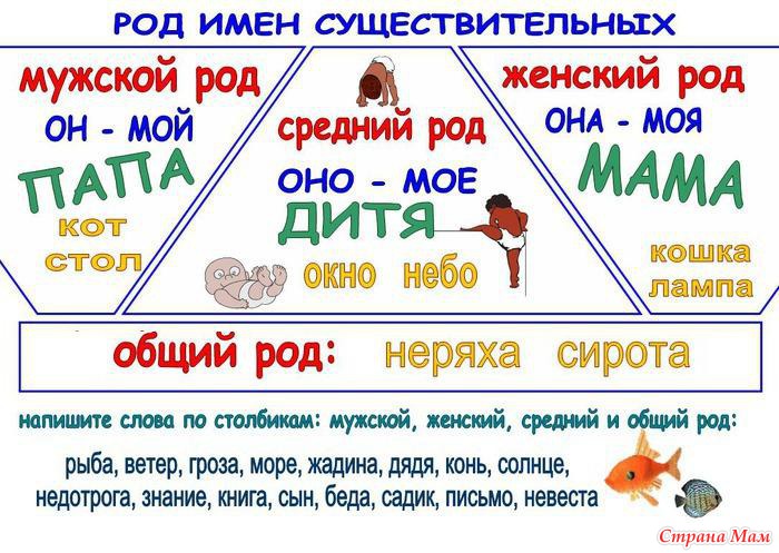 Род и число имен существительных 3 класс презентация