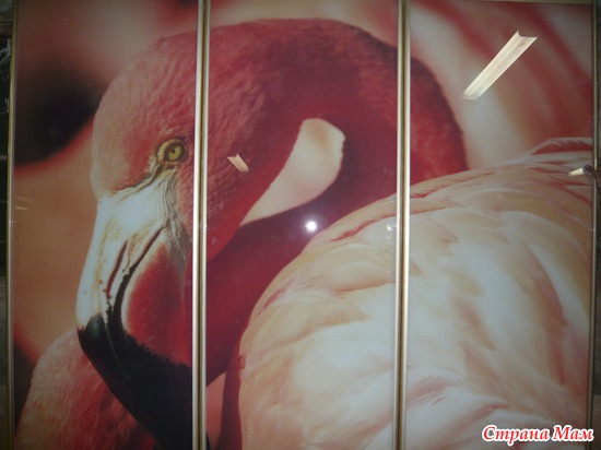 ����������