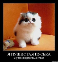 ДНЕВНИК КОТА